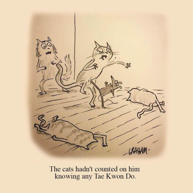 A cartoon illustration of a mouse kicking a cat in the stomach, surrounded by other cats all lying and clutching their stomachs. Caption reads "The cats hadn't counted on him knowing any Tae Kwon Do."