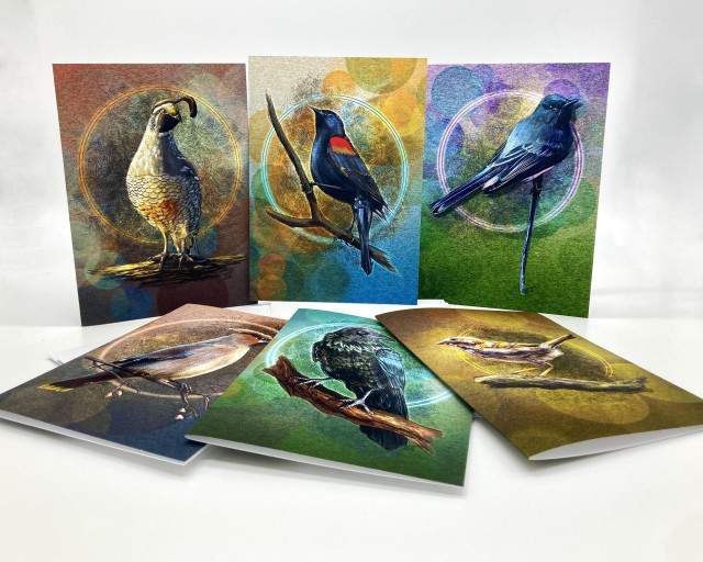Product photo of six greeting cards illustrated with birds. Left to Right, To to bottom: California Quail, Red-Winged Blackbird, Black Phoebe, Cedar Waxwing, Raven, and a Song Sparrow. Colorful and bright!