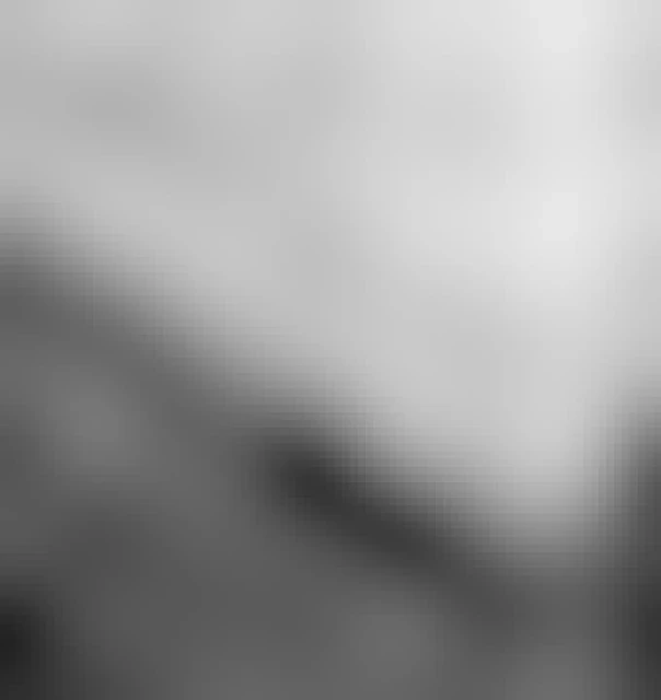 Two cat paws in the snow