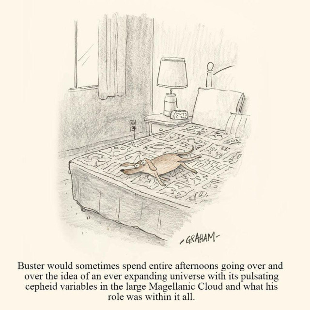 A cartoon illustration of dog lying on a bed thinking deeply. Caption reads "Buster would sometimes spend entire afternoons going over and over the idea of an ever expanding universe with its pulsating cepheid variables in the large Magellanic Cloud and what his role was within it all."