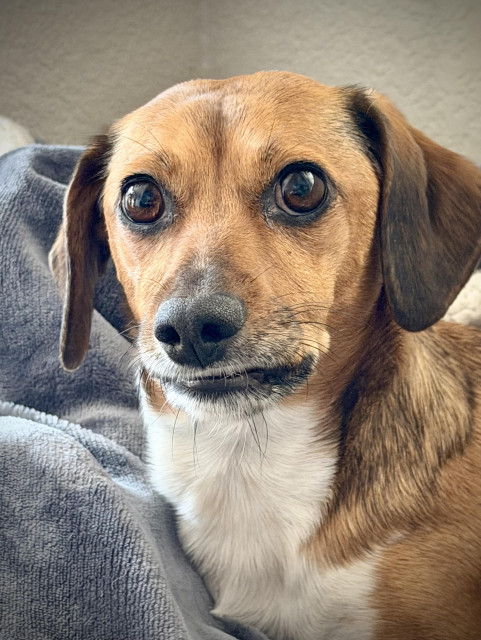 The same photo, but zoomed in closer. 