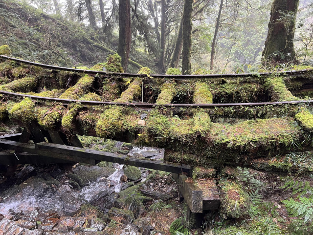 A dilapidated railroad bridge covered in moss. A misty forest stands in the background.