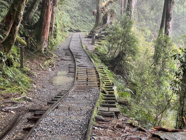 An old railroad track winding through a damp forest. The tracks are bent and twisted out of shape.