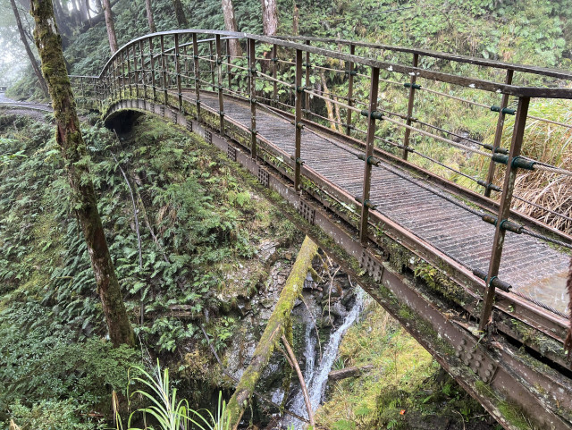 An arched wooden bridge spans a narrow gorge in a damp and mossy forest.