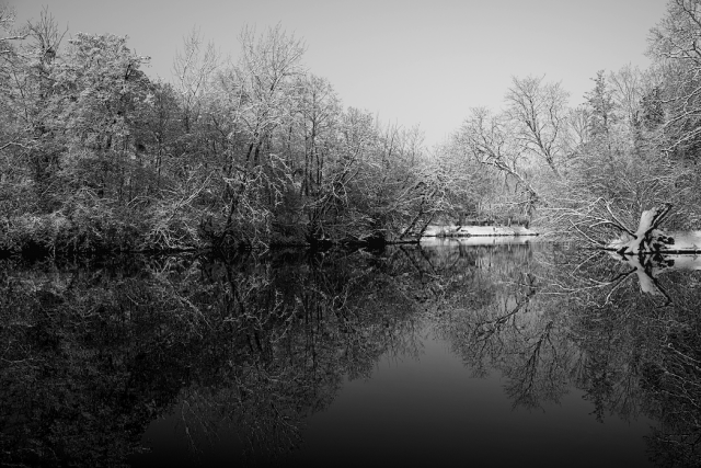 Daylight monochrome photography.

Trees on the bank of the river under sunny snow, reflections, veins carving an almost abstract vision.