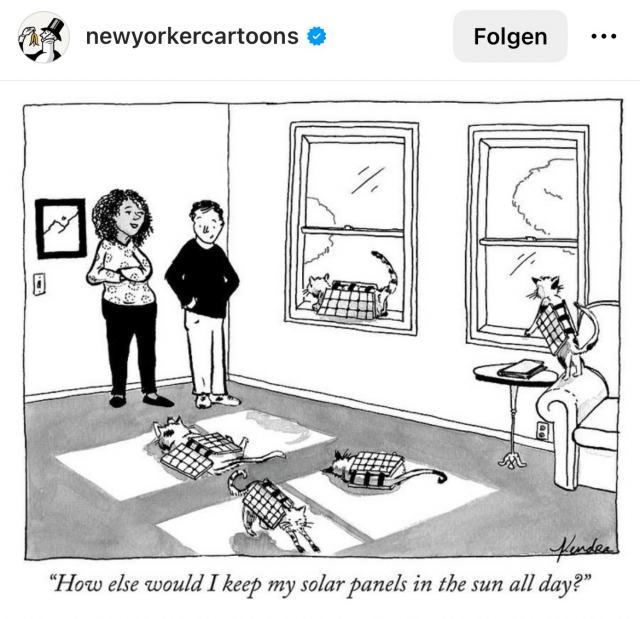 Comic: Katzen mit Solarpanelen auf dem Rücken, die immer in die Sonne wandern.
