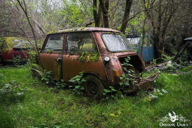 orange classic car abandoned in forest 