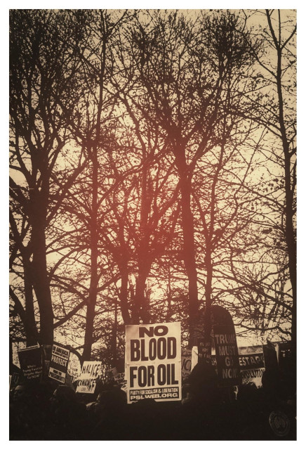 Monochrome photo of a crowd holding up protest signs under tall, leafless trees in a park. The image has been edited with a vintage filter so that the tree branches are in silhouette and the signs pop out against the darkened heads of the crowd, particularly one at center bottom frame that reads “NO BLOOD FOR OIL.” Taken at the NO WAR, NO KINGS, NO ICE rally in New York, Jan 11, 2026.