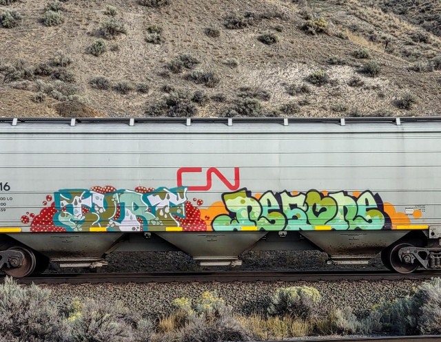 Train car with graffiti rolling through Kamloops BC Canada