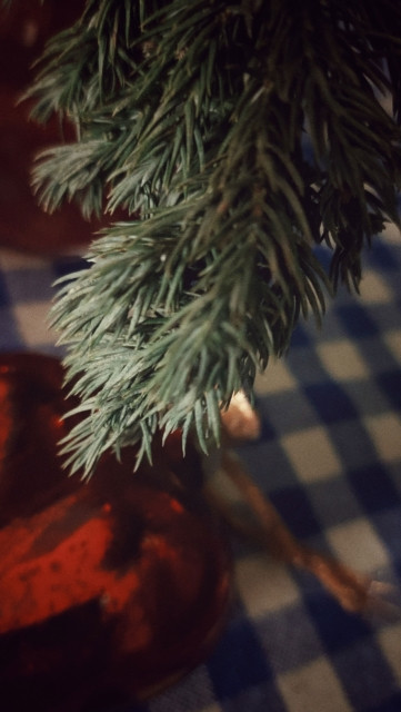 A juniper branch in closeup, a red shiny Christmas ornament below. Both on a blue/white tablecloth.