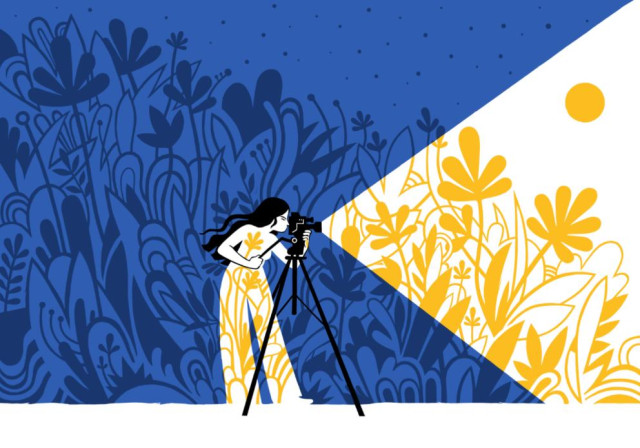 Notte. Vegetazione. Ragazza di profilo a figura intera che guarda nell'obiettivo di una telecamera. Dall'obiettivo si genera un cono di luce che illumina le piante.
I colori dell'immagine sono blu, per la notte, e bianco e giallo per la parte illuminata.