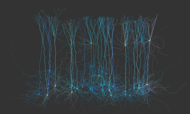 Abstract art that looks like nerve cells.