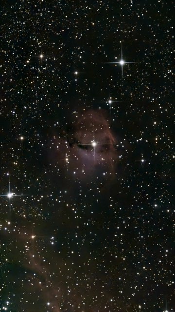 IC 2177 The Seagull Nebula - telescope processed image without LP filter.  The seagull's "eye" is a bright, massive star called HD 53367, which is 20 times the mass of the Sun and lights up the surrounding gas.