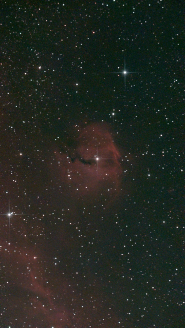 IC 2177 The Seagull Nebula - unprocessed image without LP filter.   Spanning over 100 light-years from wingtip to wingtip, this star-forming region is located about 3,700 light-years away from Earth.