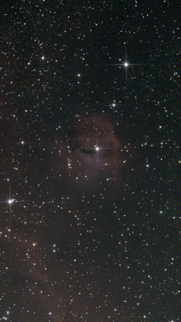 IC 2177 The Seagull Nebula - unprocessed image without LP filter.   Researchers believe the nebula's unique shell-like shape was sculpted by a series of three ancient supernova explosions.