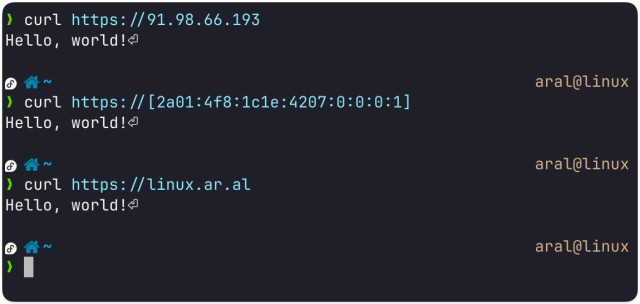 Screenshot of ssh terminal connected to remote host (aral@linux):

> curl https: //91.98.66.193
Hello, world!

> curl https:// [2a01:4f8:1c1e: 4207:0:0:0:1]
Hello, world!

> curl https:// linux.ar.al
Hello, world!