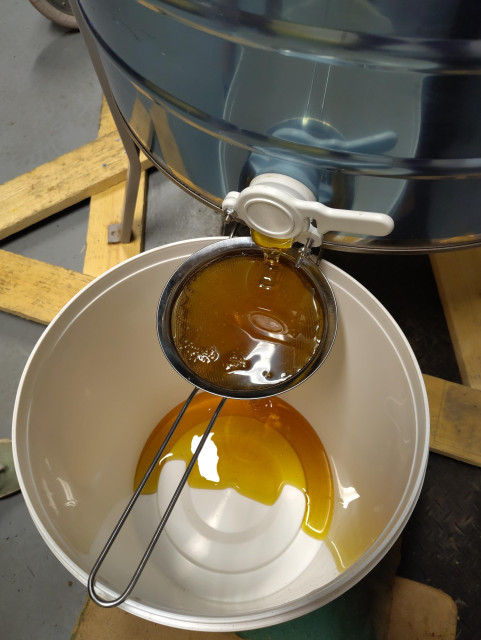 Hunajaa valuu lingosta siivilän läpi saaviin.