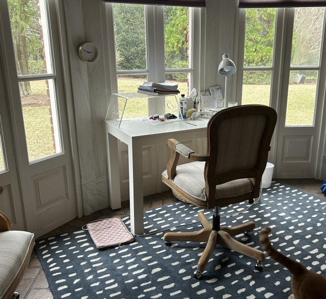 A chair at a white desk against a bay of windows facing light green grass and bright green trees. It may be winter but the St. Augustine grass rarely turns full brown, rather like my hair nowadays it doesn't go all one color or another, but displays a lightened shade of its original. In the case of the grass straw color lightens the green. The trees appear green in winter because the ones that lose leaves already have. The only trees left are evergreens and those bright green poor fools who emerged for false spring. A few days of freezing may change the scene. 