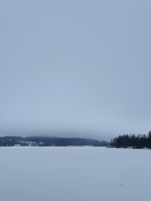 A snowy landscape with a frozen lake, distant trees, and a cloudy sky creating a tranquil winter scene.
