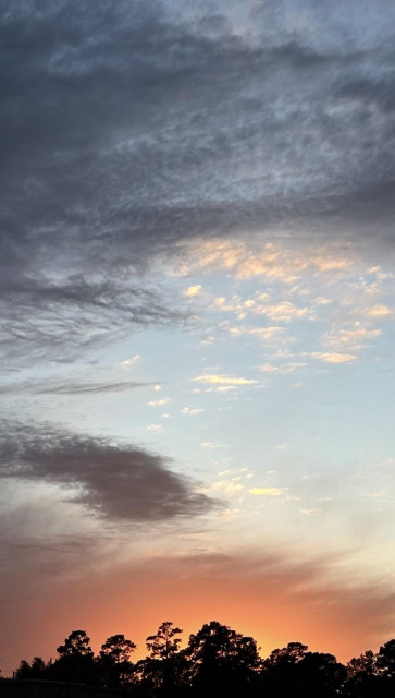 A colorful sunset with layers of clouds, transitioning from vibrant orange and yellow at the horizon to darker blue and gray hues above. Silhouetted tree tops are visible at the bottom of the image.