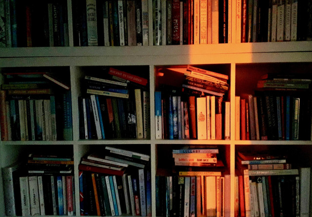 Bad grainy photo of a section of bookshelves, books higgeldy-piggeldy at different angles. Most is in shadow. One narrow vertical slice is highlighted in sunset orange, making a few books stand out.