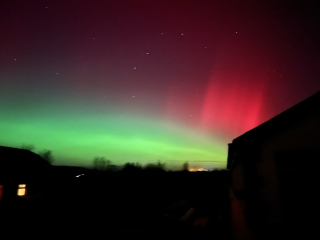 Bright green aurora just above the horizon with houses and trees below it, with a bright red aurora above it on the right side