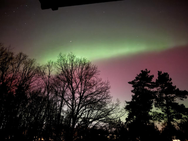 Green polarlights on a red sky. There is also a dark forest visible 