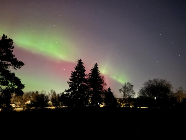 Green polarlights on a red sky. There is also a dark trees and a road visible in the back