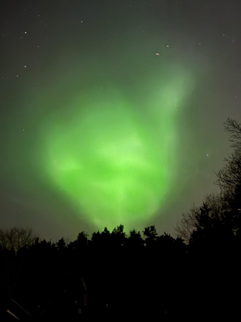 A giant green polar light above a forest 