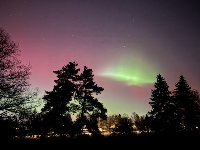 Green polarlights on a red sky. There is also dark trees and a road are visible in the back