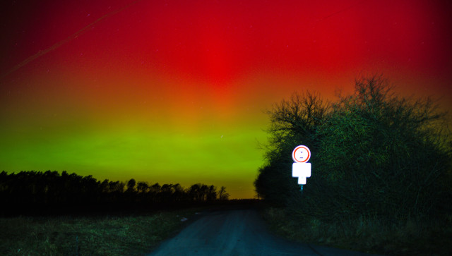 Miitig ein weg in die Ferne. Rechts ein Gebüsch mit Schild. Links Wiese und in der Ferne Baum Silhouetten. Rote Streifen Polarlichter oben. Darunter ein grüner Streifen.