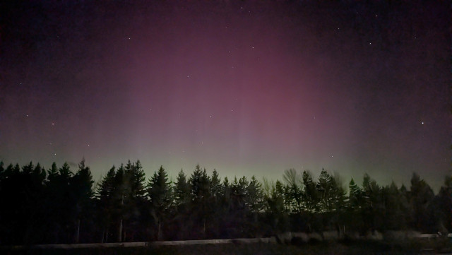 Aurora Borealis viewed from the Multnomah Falls parking lot in the median of I-84 25 miles east of Portland.
handheld cell phone photo in night mode
photo by Ian Kluft
January 20, 2026
Multnomah Falls, Oregon, USA

