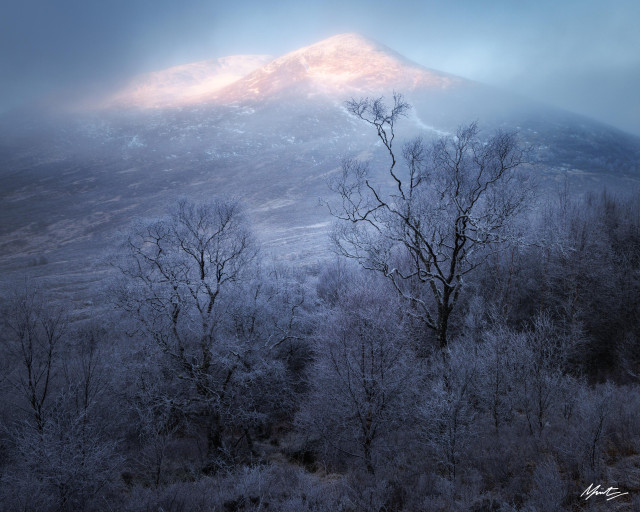 two frosty birch trees stand tall in the foreground of a young woodland, framing a mountain scottish highlands which rises up through the middle of the frame in the background. there are atmospheric clouds and sunrise pierces through the clouds. the top half of the mountain is bathed in pink glowing light. 