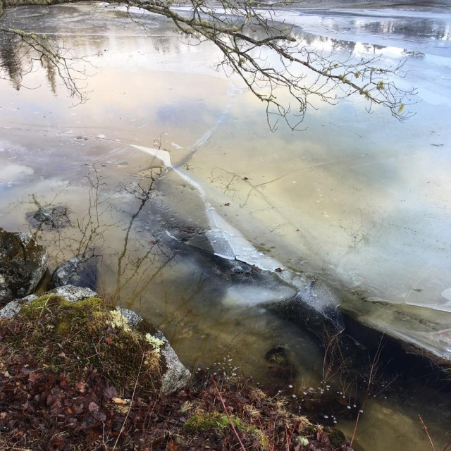 Photo of ice on a mostly frozen lake. The water is just covering the ice and reflecting colours of the sky and clouds above, giving a slightly prismatic effect in places. There is a small amount of open dark water near the shore where there are rocks and brown vegetation. A bare branch is at the top of the photo.