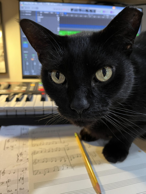 Black cat sitting on music paper, with a pencil by his paws. Musical keyboard and monitor behind him