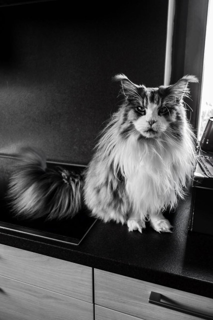 Wilma listening to Post-Punk
Monochrome image