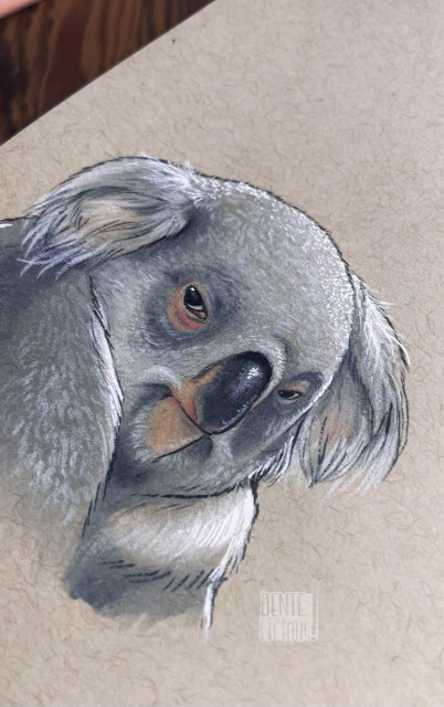 Selbes Bild von etwas näher. Man erkennt die vielen einzelnen Farbstriche die das Fell des Koalas fluffig aussehen lassen 