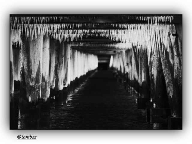 This black-and-white photograph captures a winter scene beneath a wooden pier, built from parallel rows of vertical support piles that form a rhythmic colonnade stretching into the depth of the frame. The structure is held together by horizontal beams overhead, from which long, densely clustered icicles hang, some needle-thin, others more massive, resembling blades. The perspective draws the eye toward the center, where the light fades and the sea water beneath the pier turns nearly black, contrasting sharply with the pale ice. The atmosphere is stark and maritime, filled with tension and cold; the image conveys the silence and weight of winter, suspended in geometric form.