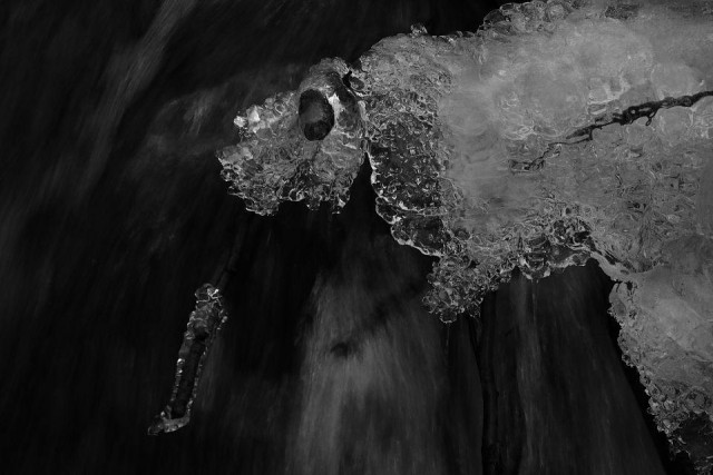 Ice hanging on a branch over a waterfall, the ice has a shape of some sort of animal with a hugh dark eye on its head. 