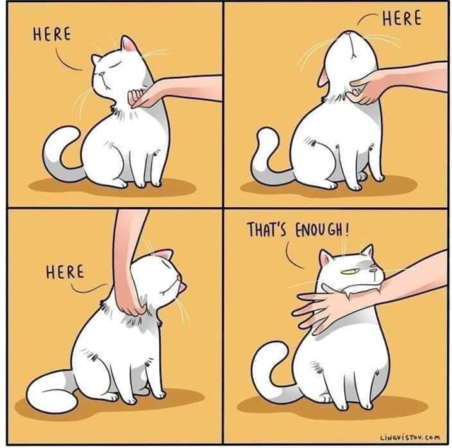 Fyra tecknade bilder. På de tre första klappar en hand en vit katt under hakan och katten säger "here". På den fjärde bilden säger katten "that's enough" och biter i handen