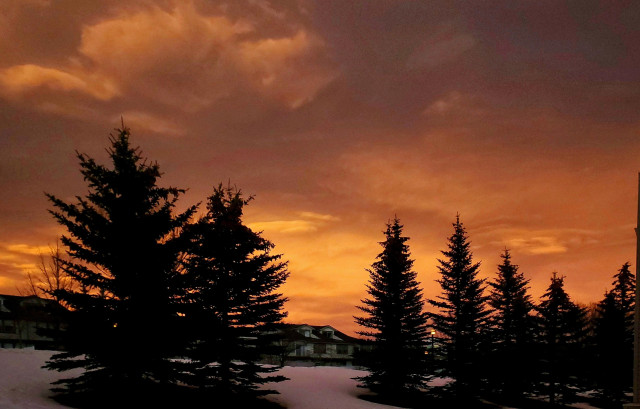 First look outside just as the light from the sunrise is about to streak across the Calgary landscape on Winter morning in January. The warm orange-brown tones of the sky and now visible clouds, reflect on snow covered ground, hint at the approaching light show.