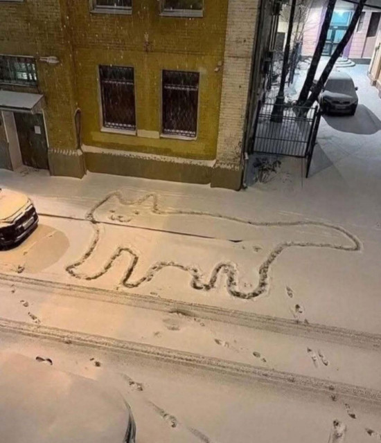 View from above on a simple, childish drawing of a cat made on the light snow on a city street.
