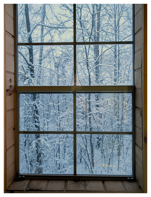 wood-paneled window frame and an 8-paned window revealing a forest with dense, leafless trees and floor with a couple inches of snow.