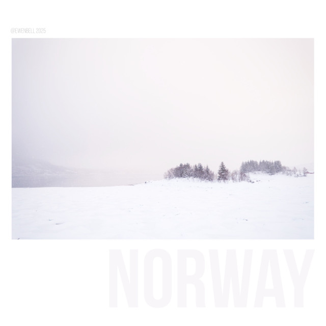 Small island with ice-packs in the foreground and snow obscuring the fjord behind it.