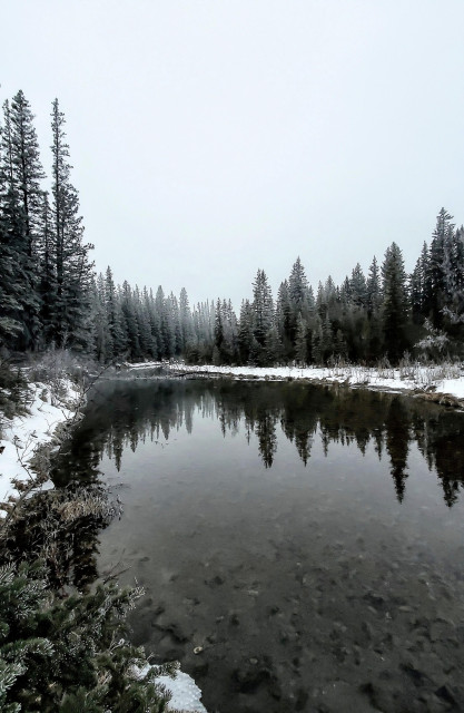 Black and white winter photograph of a pond surrounded by evergreen trees. The banks of the pond are covered in snow. There is a hint of frosty snow on the trees, but they otherwise appear black as does the water, in contrast to the white sky and snow.
The line of trees and the light of the sky above them are reflected in the water.
The scene is one of serene quiet contrast.