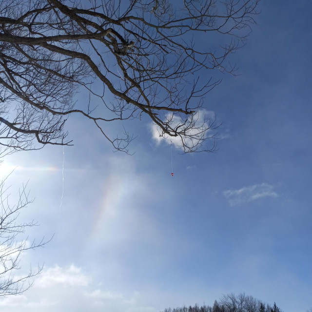 A red and white bobber hangs on fishing line from bare tree branches. The sky is blue with a few small clouds.