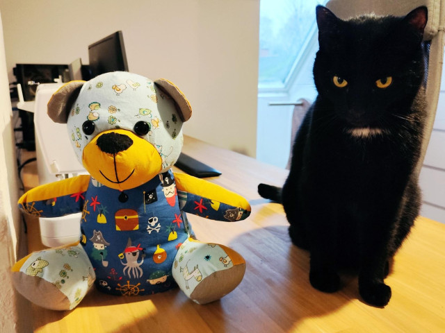 Our black cat Saxo and a teddy bear I made.