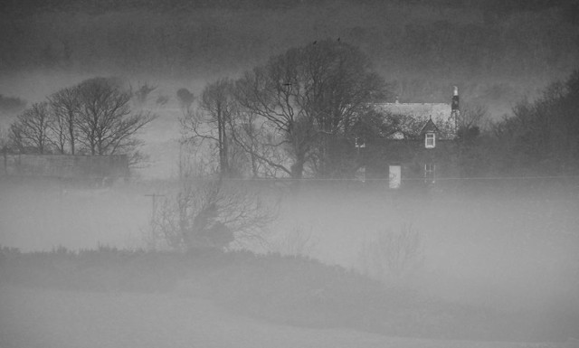 Atmospheric black and white photo of a farmhouse and trees in mist covered fields.
