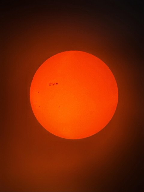 Photo of the sun taken on Feb 2, 2026 at 11:16am. The sun appears as a large orange ball surrounded by a reddish glow softening into black at the edges of the frame. Several sunspots pepper the sun’s western side, particularly a row of very dark spots at the upper left quadrant. Taken with an iPhone 15 attached to a 130mm reflector telescope with a solar filter.