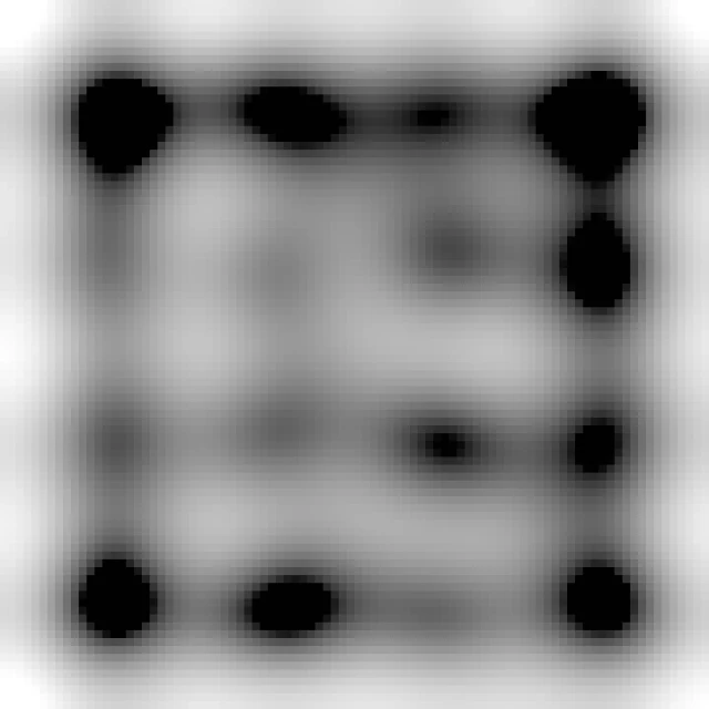 B&W photo of seven small wildboar piglets all huddling together...